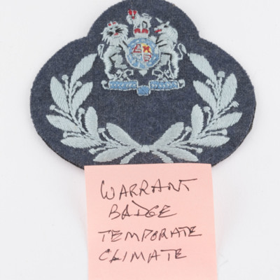 RAF Cloth Badges