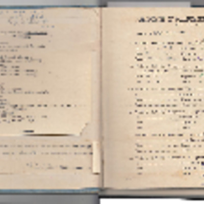 Walter Goodwin’s pilots flying log book