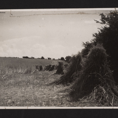 Haystacks in a Field