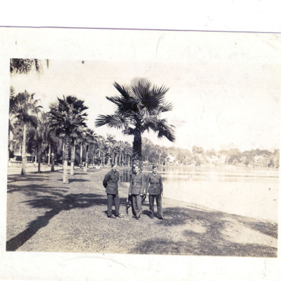 Three RAF personnel with palm trees