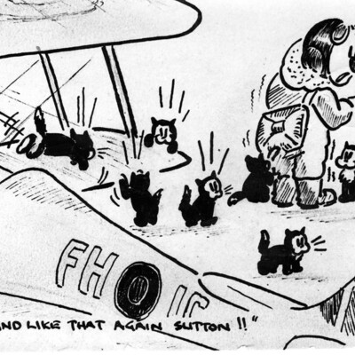 Landing Incident Cartoon
