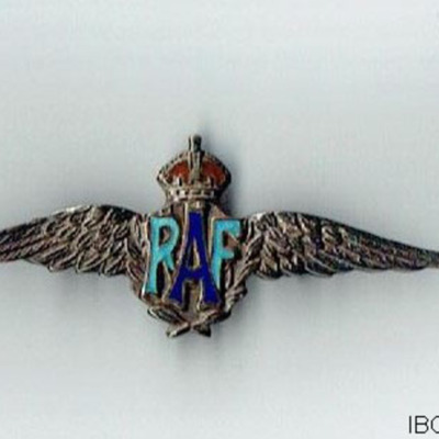 RAF enamelled metal pin badge