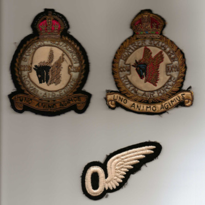 35 Squadron badge and observer brevet