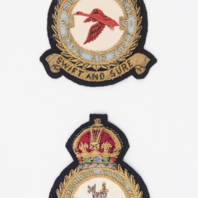 51 Squadron and 20 Operational Training Unit badges