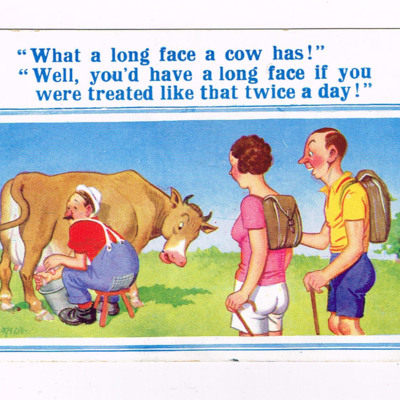Postcard of Man Milking a Cow