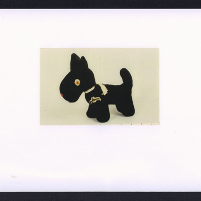 Black dog mascot