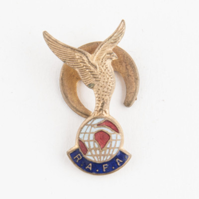 Royal Air Force Association Badge