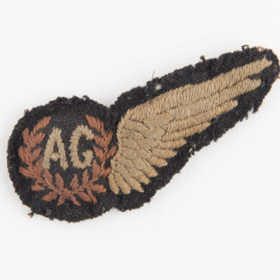 Air gunner brevet