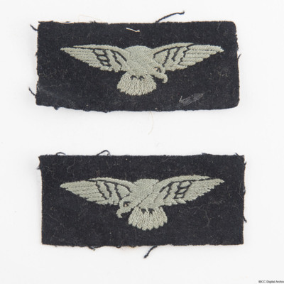 RAF eagle patches