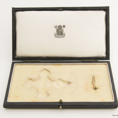 Medal case with caterpillar badge